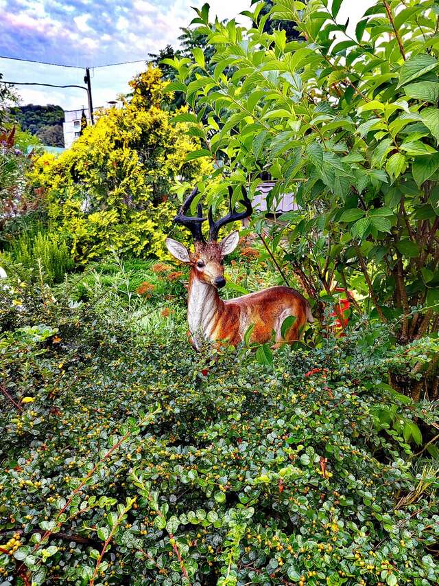 Гостиница Уютный Дворик Туапсе-6