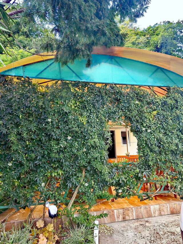 Гостиница Уютный Дворик Туапсе-13